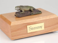 Pet Iguana urn