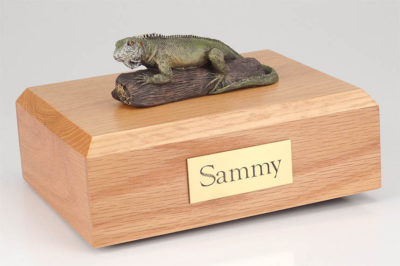 Pet Iguana urn