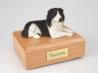 Border Collie Dog Figurine Urn from PetsToRemember.com