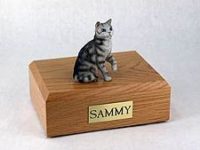 Silver Tabby Shorthair Urn from PetsToRemember.com