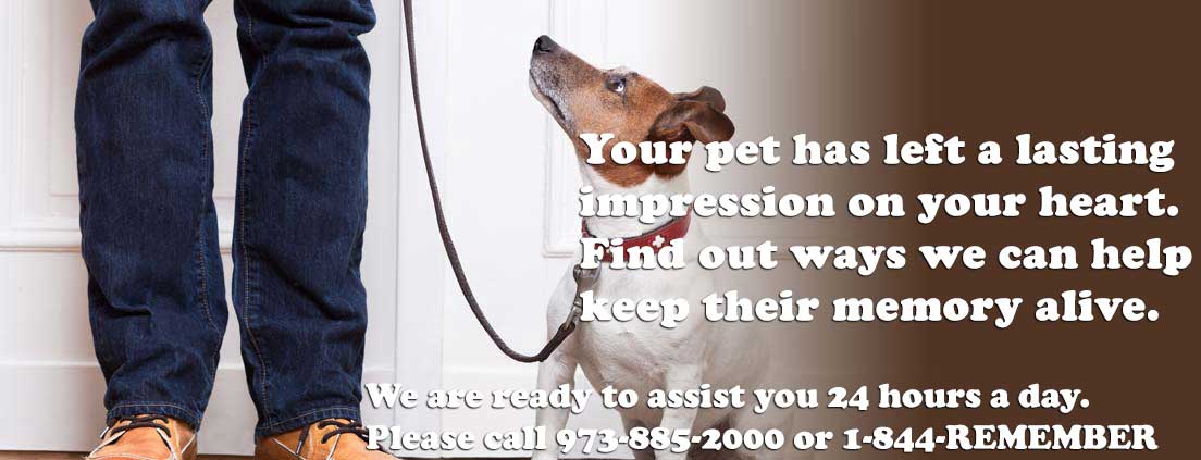 Puppy Proofing Your Home - Midlands Pet Care Pet Crematory and Cemetery