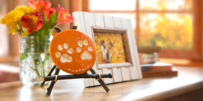 Cat Paw Print Memorials from PetsToRemember.com