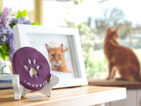 Cat Paw Print Memorials from PetsToRemember.com