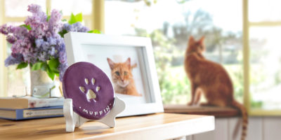 Cat Paw Print Memorials from PetsToRemember.com