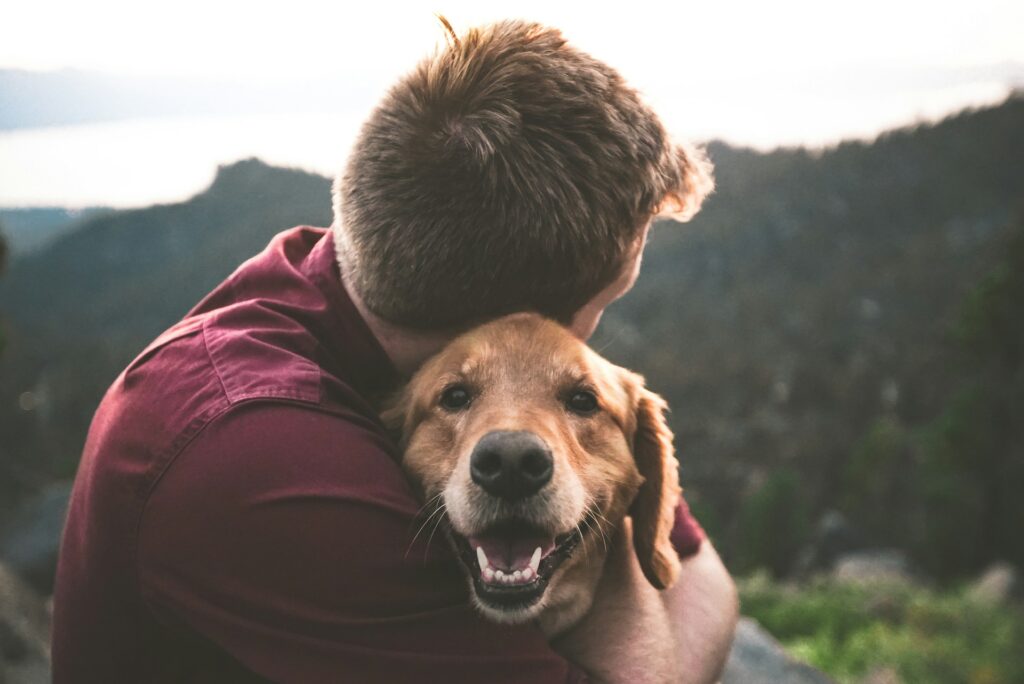 How much does pet cremation cost in 2026? PetsToRemember.com explains.