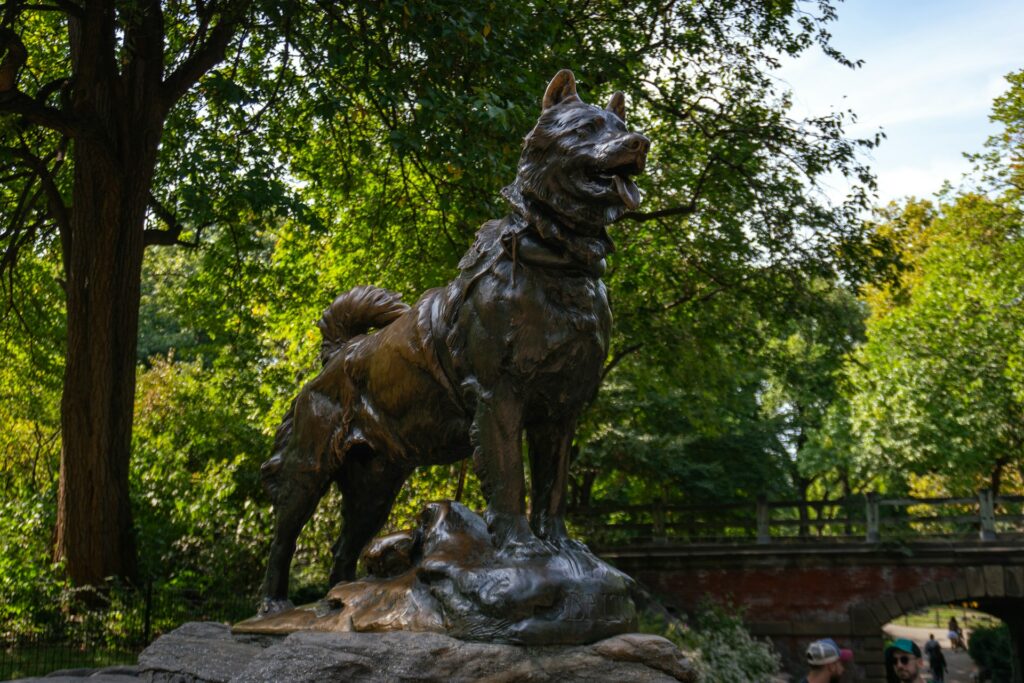Pet Cremation New York City Pet Cremation Near Me NYC